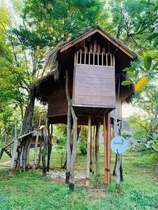 Ev, Göl Manzaralı (Tree House)