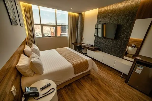 Executive Oda, 1 Yatak Odası