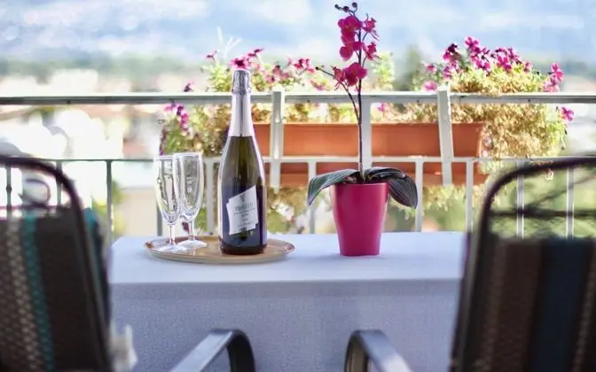 Panoramic Oda, 2 Tek Kişilik Yatak, Balkon, Göl Manzaralı