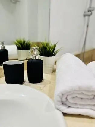 Premium Çatı Katı Süiti (Penthouse), 1 Çift Kişilik Yatak