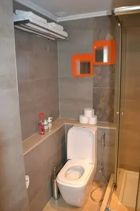 Superior Çatı Katı Süiti (Penthouse), 1 Yatak Odası