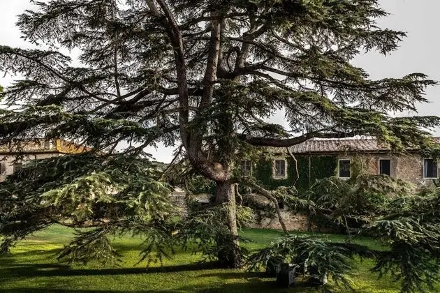 Family Oda, 2 Yatak Odası, Bahçe Manzaralı