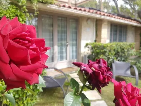 Junior Süit, Bahçe Manzaralı