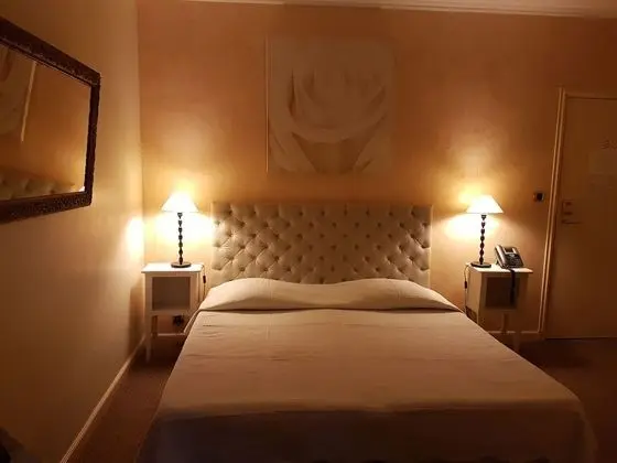 Standard Tek Büyük Yataklı Oda, 1 Çift Kişilik Yatak