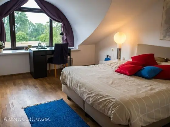 Superior Tek Büyük Yataklı Oda (Sud)