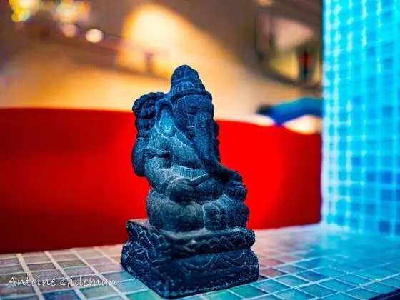 Superior Tek Büyük Yataklı Oda (Sud-Ouest)