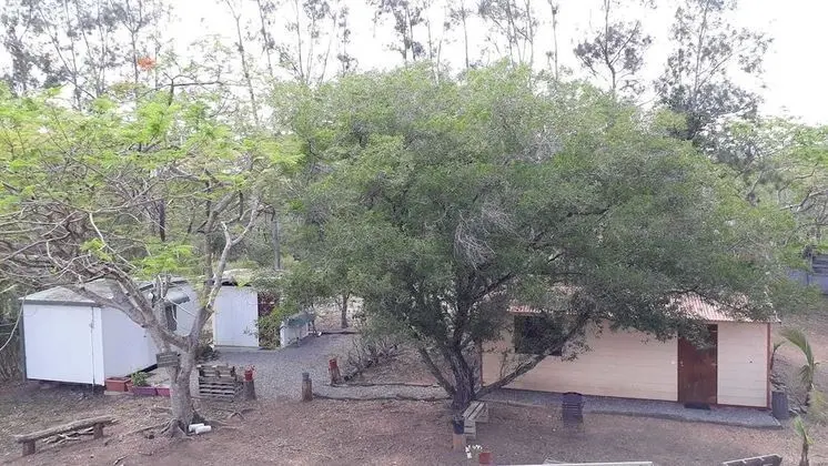Kulübe, Birden Çok Yatak (Hibiscus)