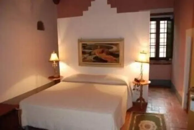 Classic Tek Büyük Yataklı Oda, 1 Çift Kişilik Yatak, Sigara İçilmez, Üzüm Asması Manzaralı