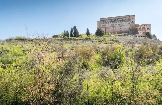 Classic Oda, Tepe Manzaralı