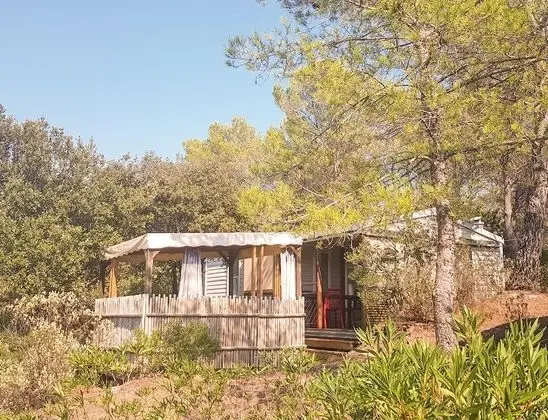Karavan, 3 Yatak Odası (Zenith)