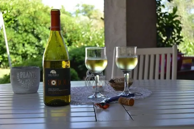 Junior Süit, 2 Yatak Odası, Veranda, Bahçe Manzaralı