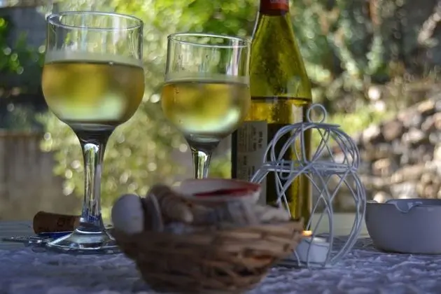 Junior Süit, 2 Yatak Odası, Veranda, Bahçe Manzaralı