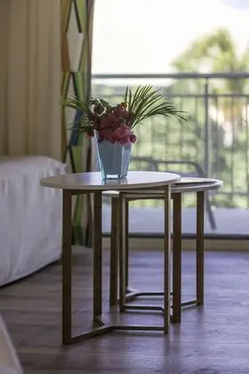 Junior Suite kitchen Premium Garden