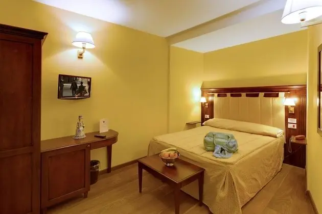 Standard Tek Büyük Yataklı Oda, 1 Çift Kişilik Yatak, Banyolu/Duşlu