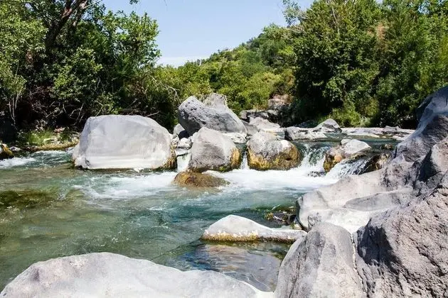 Superior Tek Büyük Yataklı Oda, Bahçe Manzaralı