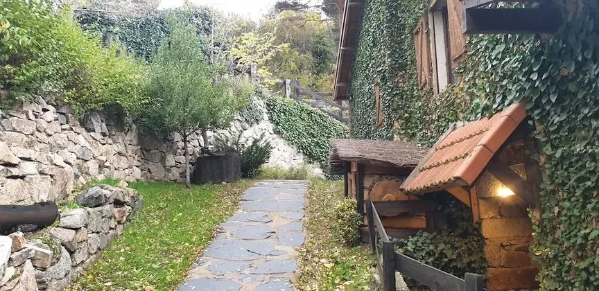 Basic Kulübe, 3 Tek Kişilik Yatak, Ortak Banyo (Penota 3)