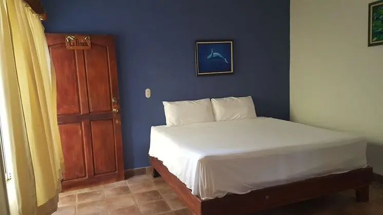Jungle Suite