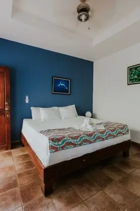 Jungle Suite
