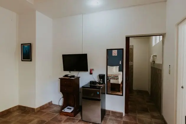 Jungle Suite