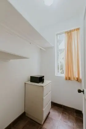 Jungle Suite