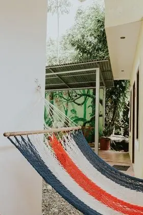 Jungle Suite