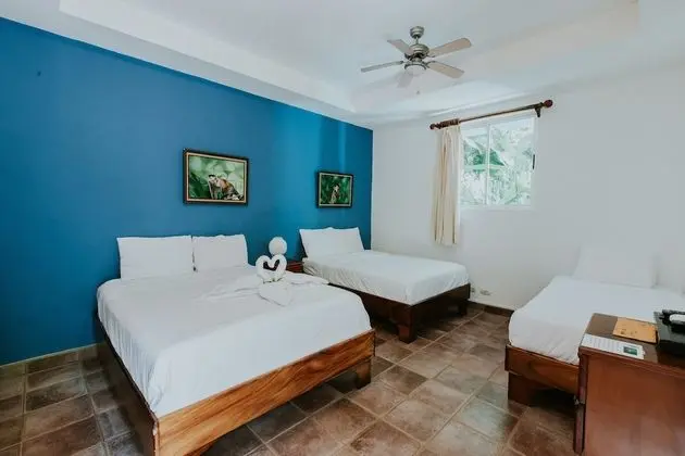 Monkey Room