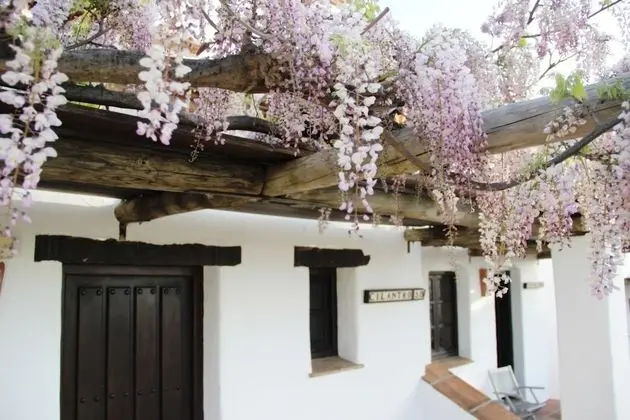 Standard Tek Büyük Yataklı Oda, Balkon, Deniz Manzaralı