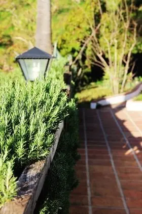 Standard Tek Büyük Yataklı Oda, Teras, Deniz Manzaralı