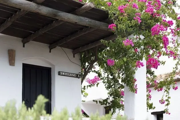 Standard Tek Büyük Yataklı Oda, Teras, Deniz Manzaralı