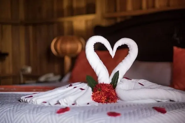 Deluxe Kulübe, Sigara İçilmez