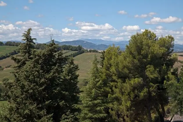 Tek Büyük Yataklı Oda, Balkon, Tepe Manzaralı (Bamboo)
