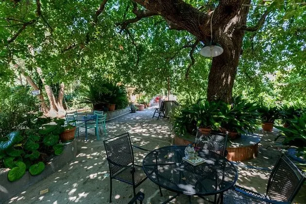 Standard Üç Kişilik Oda, Bahçe Manzaralı