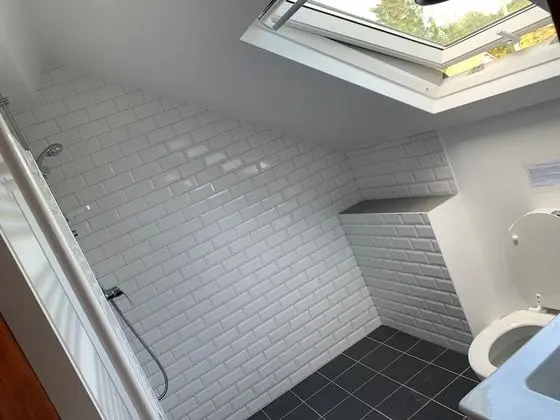 Basic Üç Kişilik Oda (COCOON)