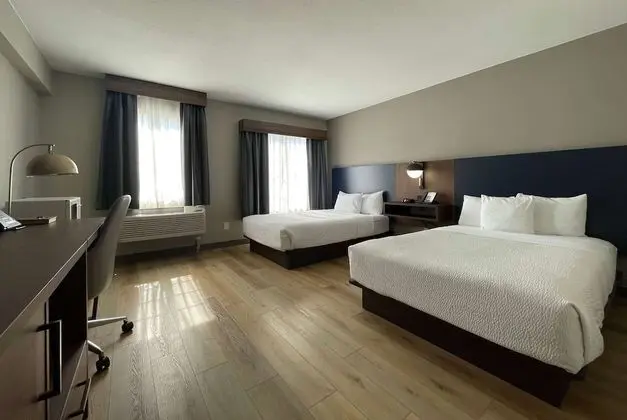 Deluxe Oda, 2 Çift Kişilik Yatak, Sigara İçilmez, Avlu