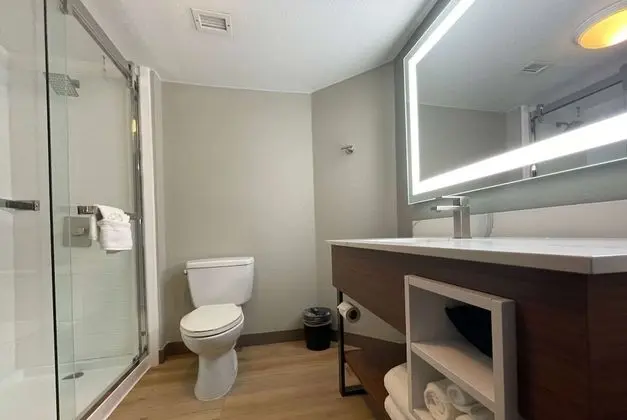 Oda, 1 En Büyük (King) Boy Yatak, Engellilere Uygun, Sigara İçilmez (Roll-In Shower)