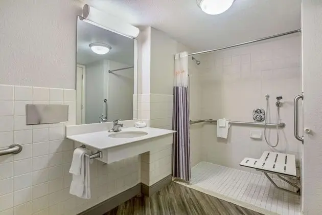 Deluxe Oda, 1 En Büyük (King) Boy Yatak, Sigara İçilmez (Mobility, Bathtub w/Grab Bars)