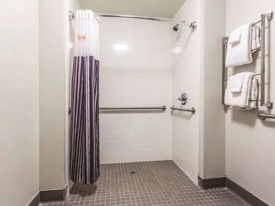 Oda, 1 Çift Kişilik Yatak, Engellilere Uygun, Sigara İçilmez (Mobility/Hearing Accessible, Bathtub)