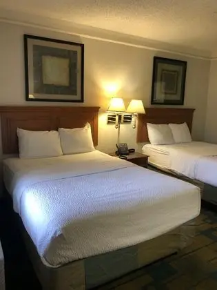 Deluxe Oda, 2 Çift Kişilik Yatak, Sigara İçilmez