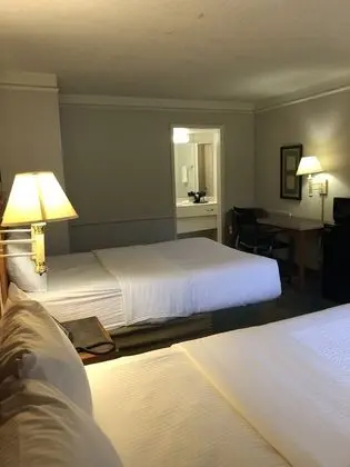 Deluxe Oda, 2 Çift Kişilik Yatak, Sigara İçilmez