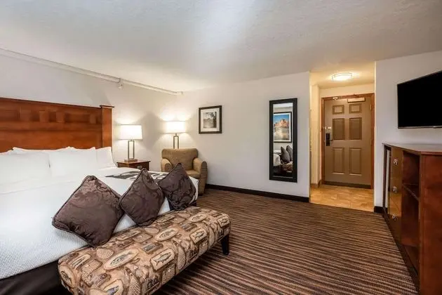 Deluxe Oda, 1 En Büyük (King) Boy Yatak, Sigara İçilmez (Deluxe Executive Room)