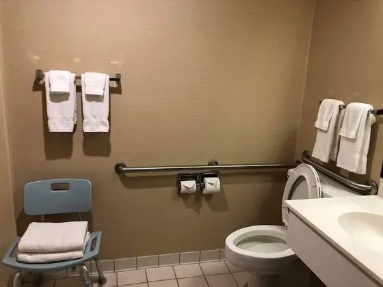 Oda, 1 Çift Kişilik Yatak, Engellilere Uygun, Sigara İçilmez (Mobility Accessible)