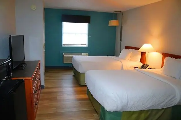 Deluxe Oda, 2 Çift Kişilik Yatak, Sigara İçilmez