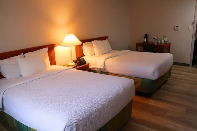 Deluxe Oda, 2 Çift Kişilik Yatak, Sigara İçilmez