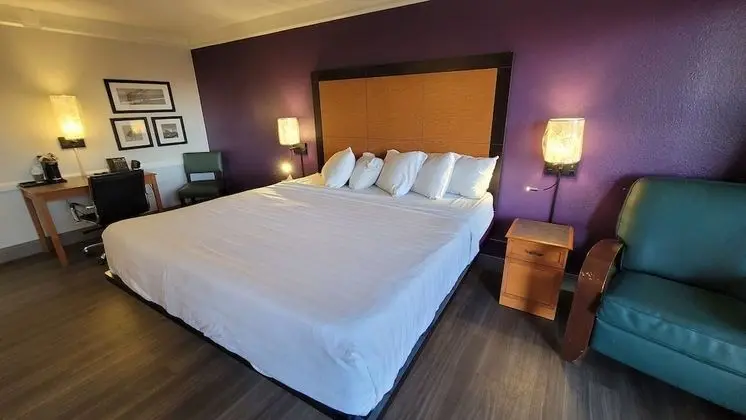 Luxury Süit