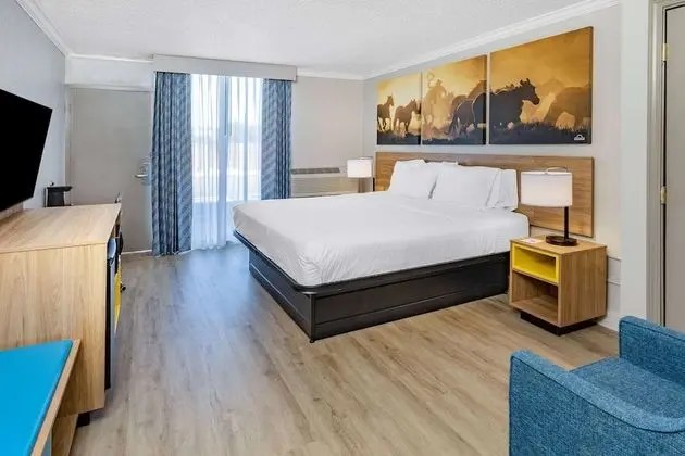 Deluxe Oda, 1 En Büyük (King) Boy Yatak, Engellilere Uygun, Sigara İçilmez (Mobility Accessible)