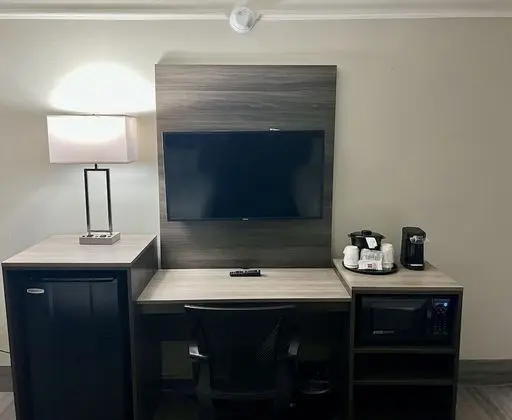 Deluxe Oda, 1 En Büyük (King) Boy Yatak (Deluxe Executive Room)