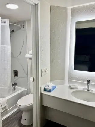Deluxe Oda, 1 En Büyük (King) Boy Yatak (Deluxe Executive Room)