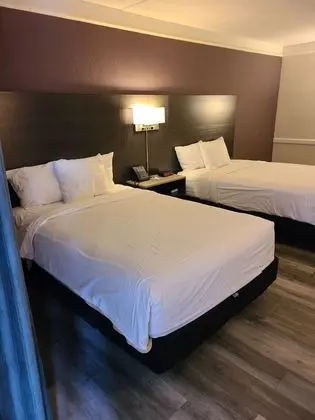 Deluxe Oda, 2 Çift Kişilik Yatak
