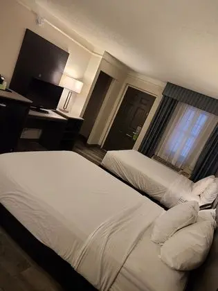 Deluxe Oda, 2 Çift Kişilik Yatak