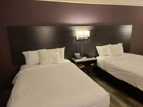 Deluxe Oda, 2 Çift Kişilik Yatak